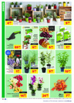 Carrefour brochure with new offers (154/194)