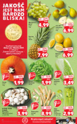 Kaufland brochure with new offers (14/88)