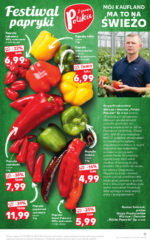 Kaufland brochure with new offers (15/88)