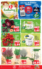 Kaufland brochure with new offers (24/88)